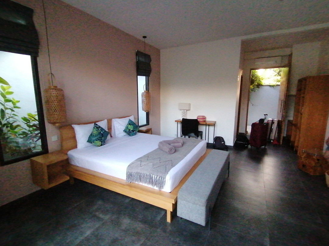 Le Chien Rouge主图