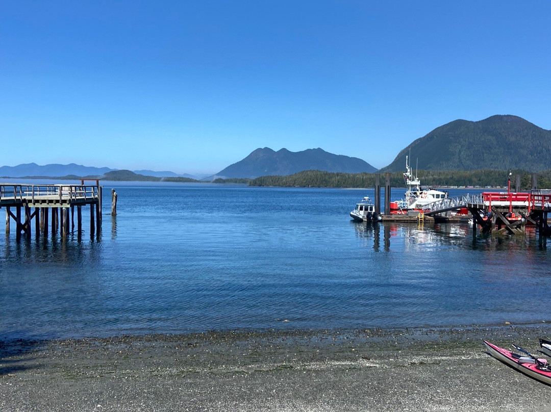 Tofino Sea Kayaking Day Tours景点图片