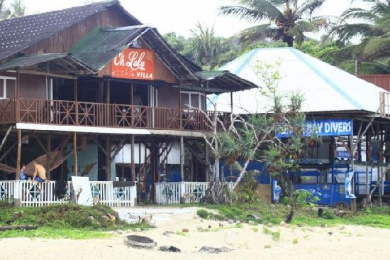 Turtle Bay Divers-小停泊岛必去景点