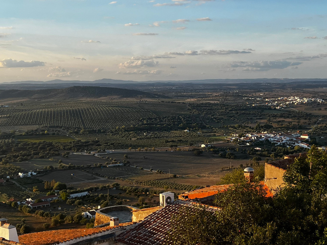 平托旅馆（仅限成人）主图