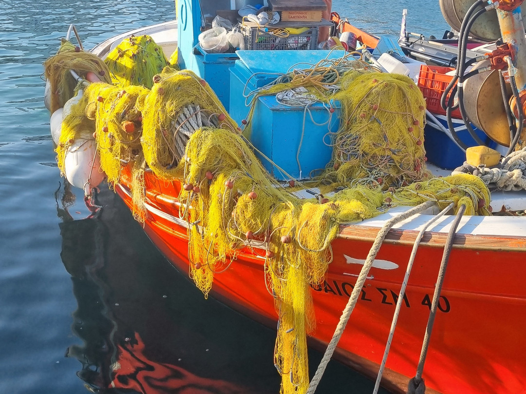 Naxos Yachting Catamarans | Rena | Anassa | Steve | Paciphae | Danae |-纳克索斯必去景点