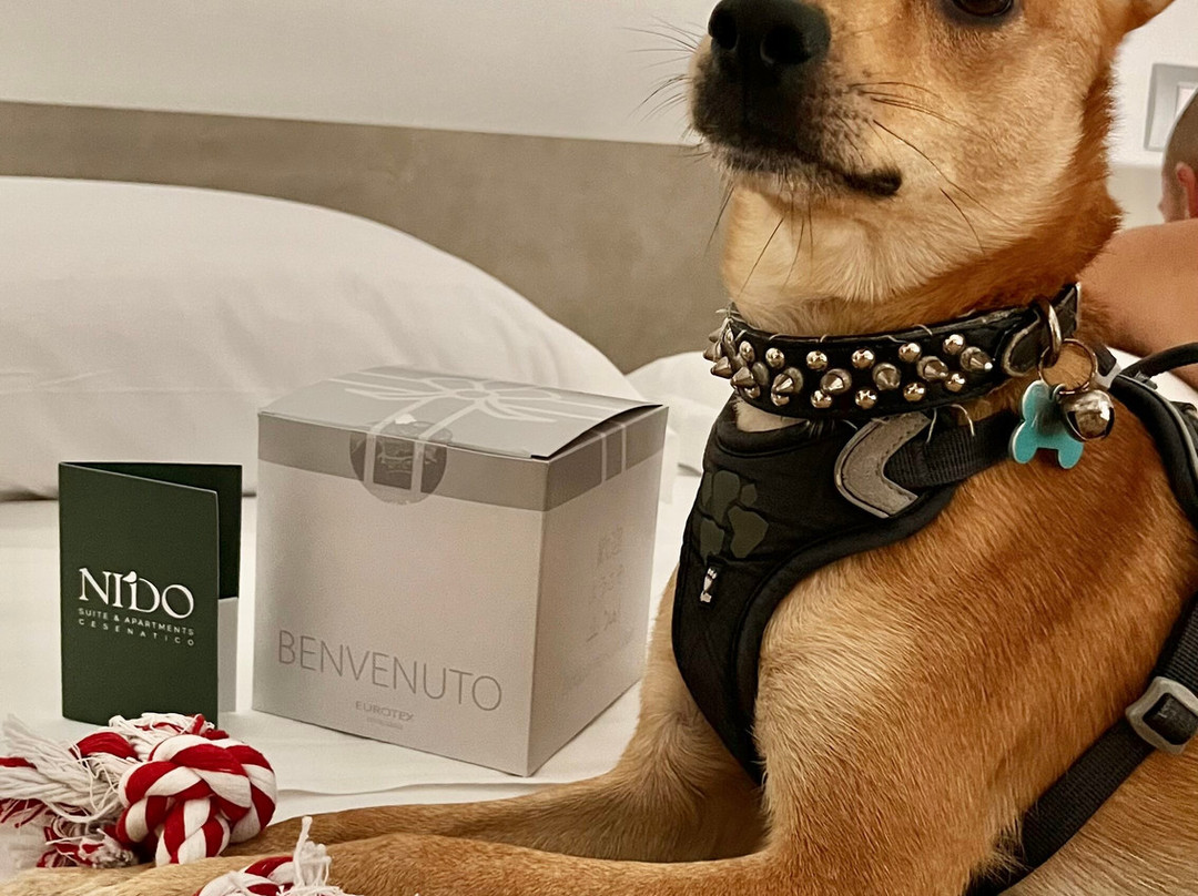 Villamarina酒店住宿-Nido Suite & Apartments