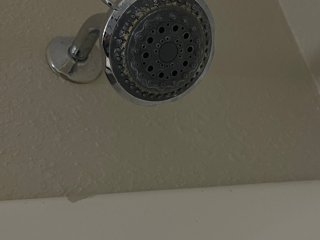 Comfort Inn & Suites Shakopee Inn主图