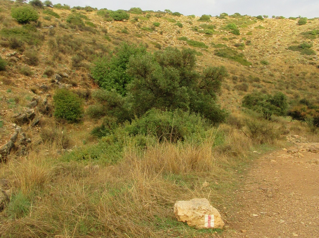 Twins Cave-Beit Shemesh必去景点