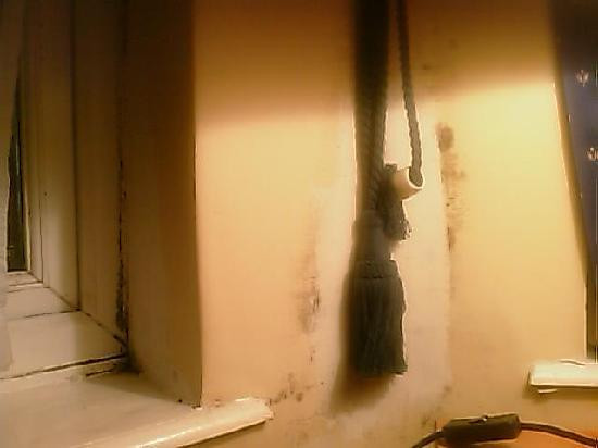 克罗伊登庭院酒店