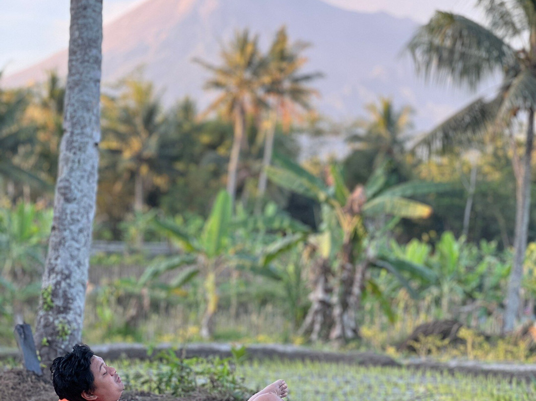Nyawang Merapi