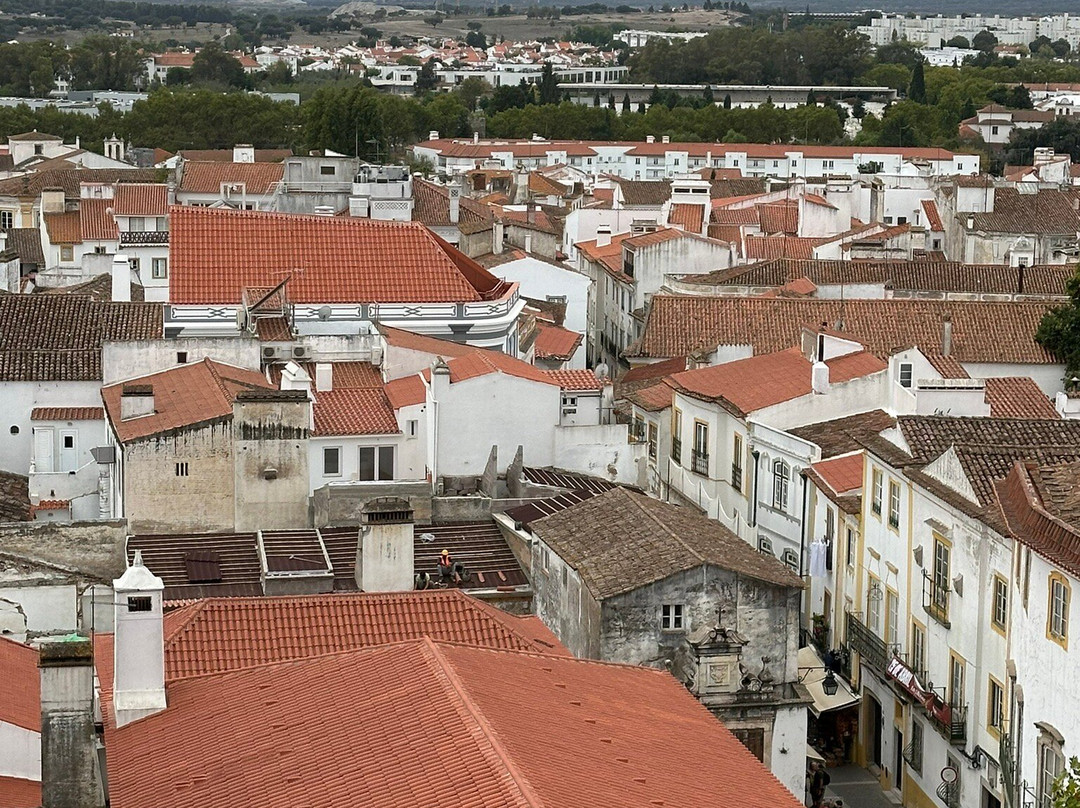 Kitzel tours-里斯本必去景点