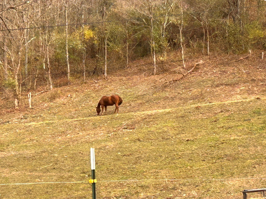 Fletcher Creek Covered Bridge-Clarksburg必去景点