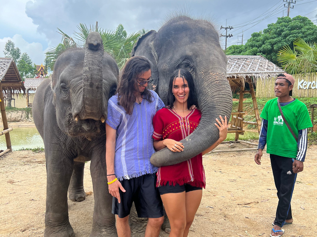 Elephant Family Phuket-卡图必去景点