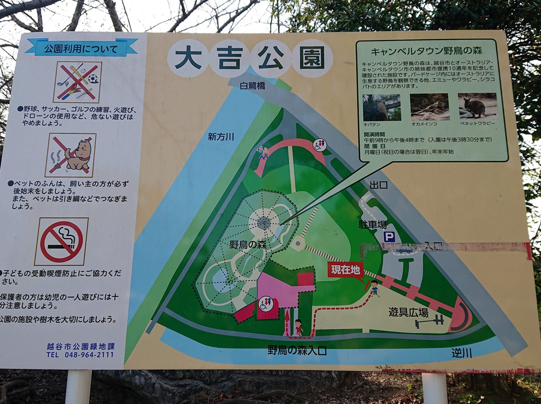 Campbelltown Forest of Wild Birds-越谷市必去景点