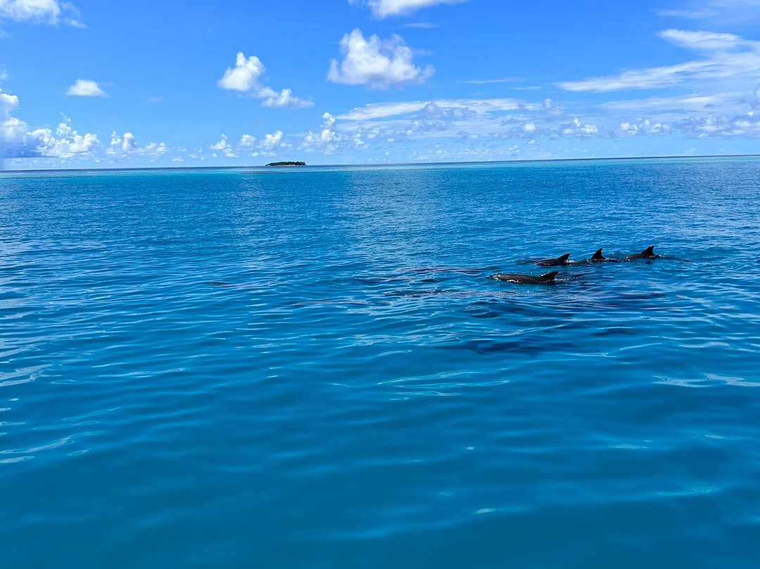 Maldivers Dhiffushi-Dhiffushi Island必去景点