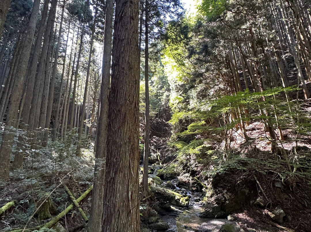 Shogaku-ji Temple-饭能市必去景点