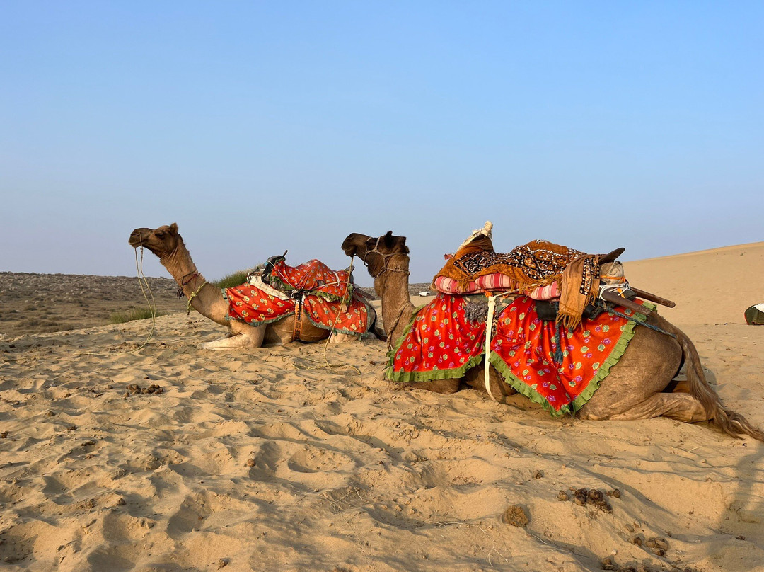 Renuka Camel Safari-杰伊瑟尔梅尔必去景点