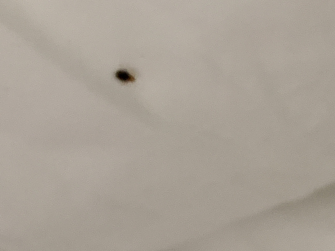 The English Inn of Charlottesville主图