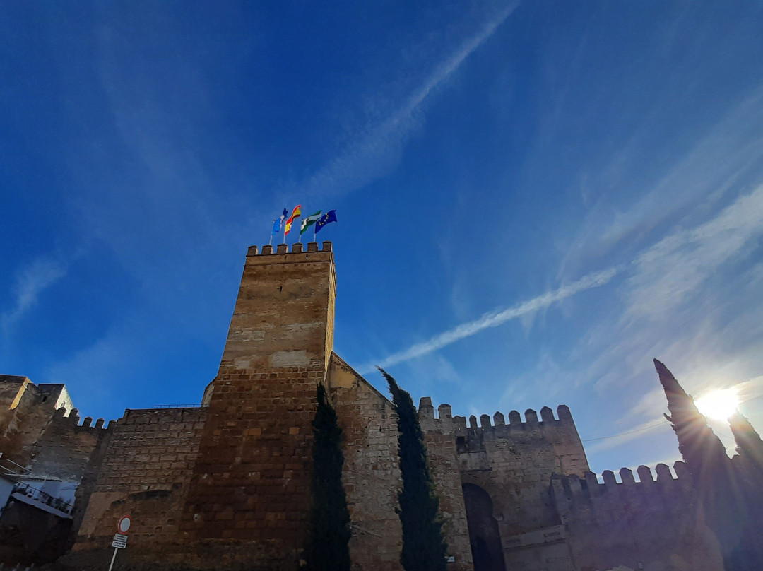 Alcazar de la Puerta de Sevilla-卡莫纳必去景点