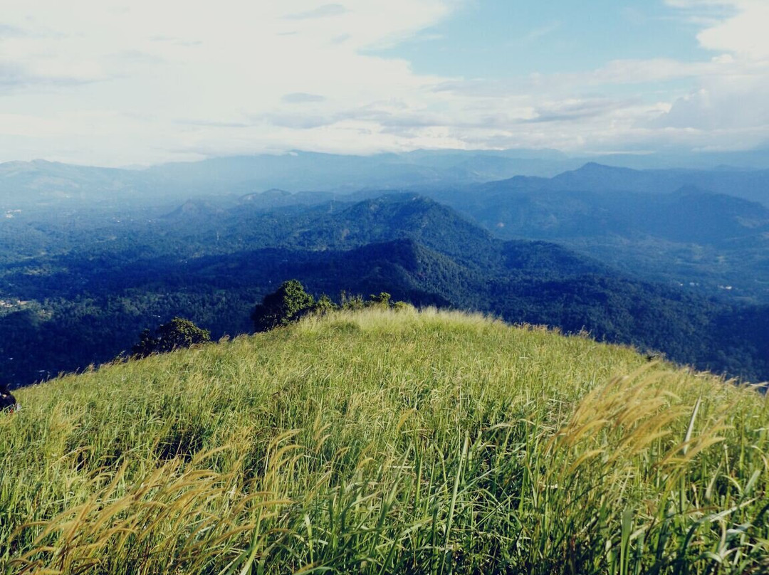 Alagalla Mountain Range景点图片