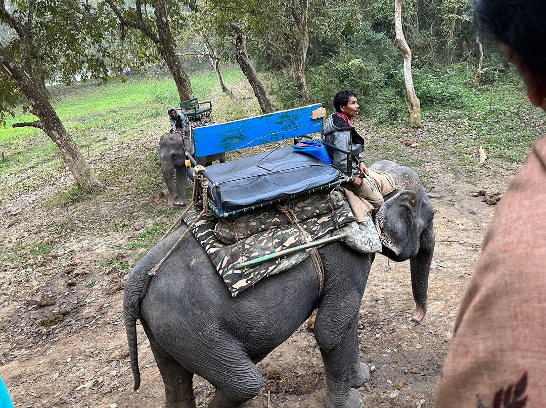 Kaziranga Adventures景点图片