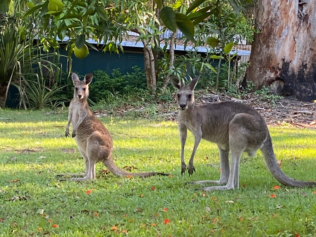 阿赖耶识豪园主图