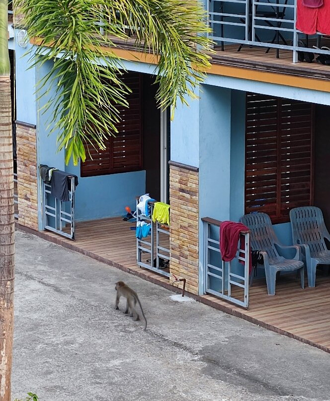 索克雨林度假村主图