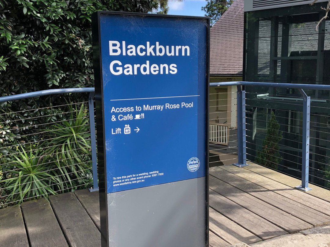 Blackburn Gardens-Double Bay必去景点