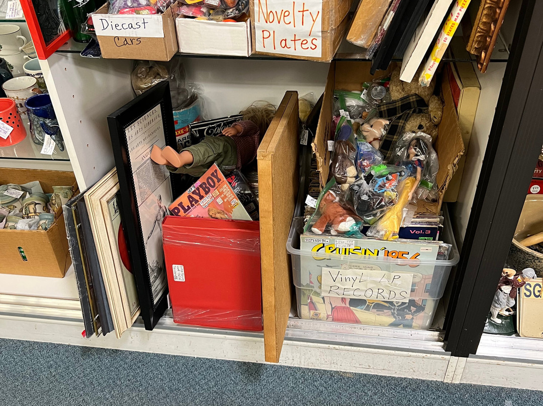 Brass Armadillo Antique Mall-Wheat Ridge必去景点