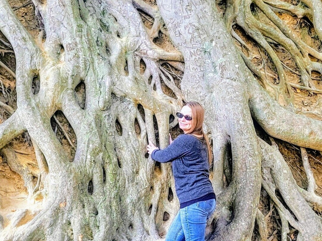 Tree Sculptures景点图片