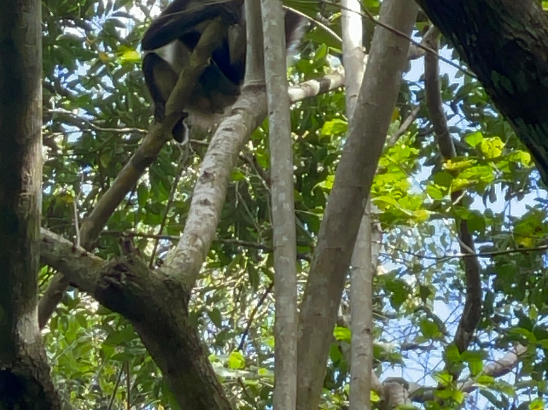 Eco Mayan Adventures景点图片