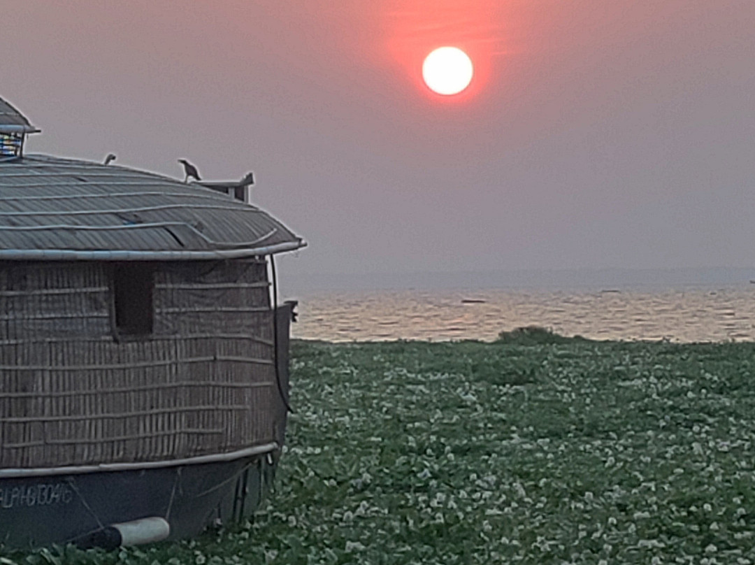 Abad Whispering Palms主图