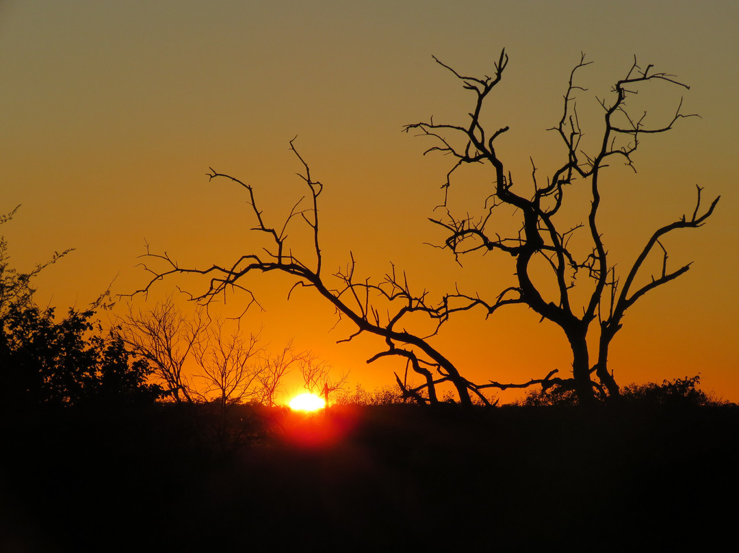 Little Africa Safari Lodge主图