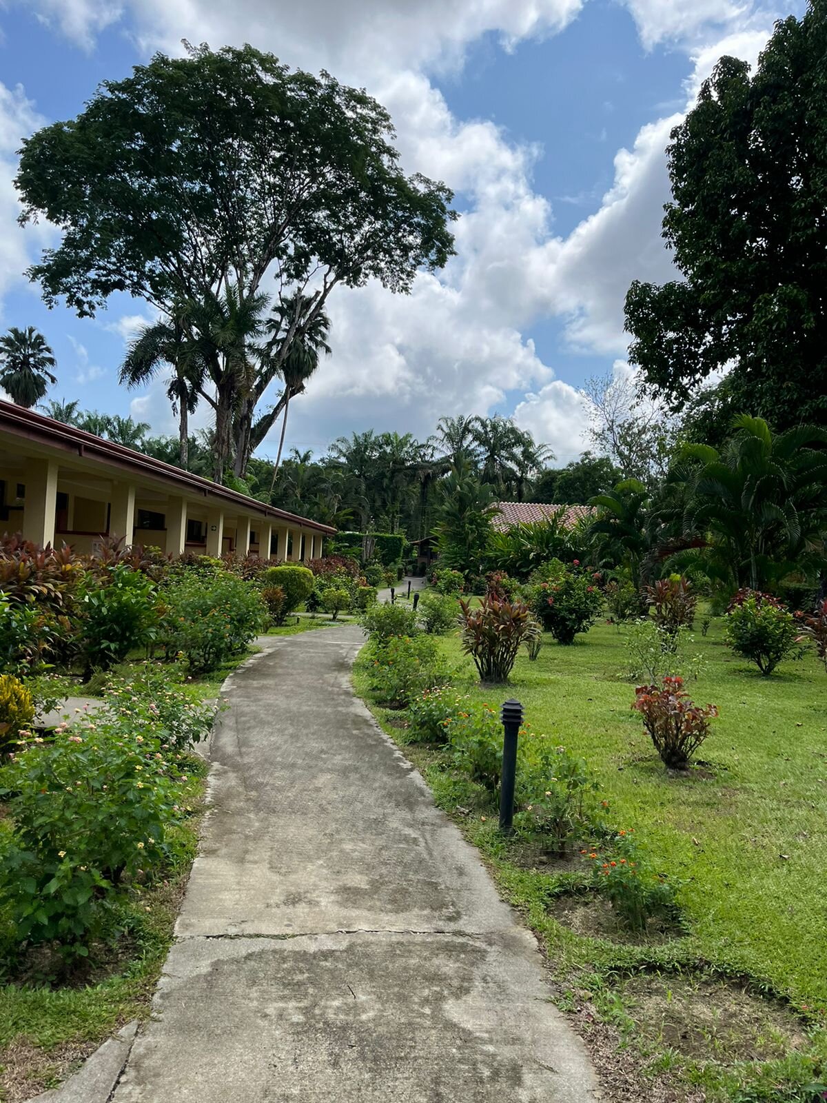 La Foresta Nature Resort-浴室