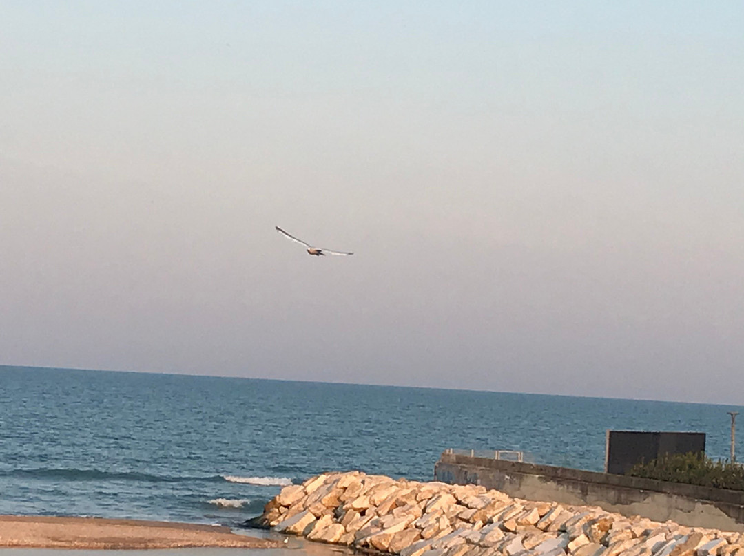 Alba Adriatica-阿尔巴阿德里亚蒂卡必去景点