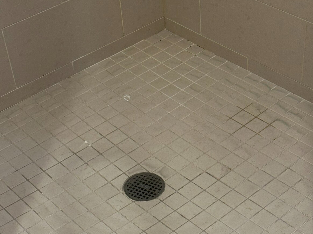 The Westin Edina Galleria主图