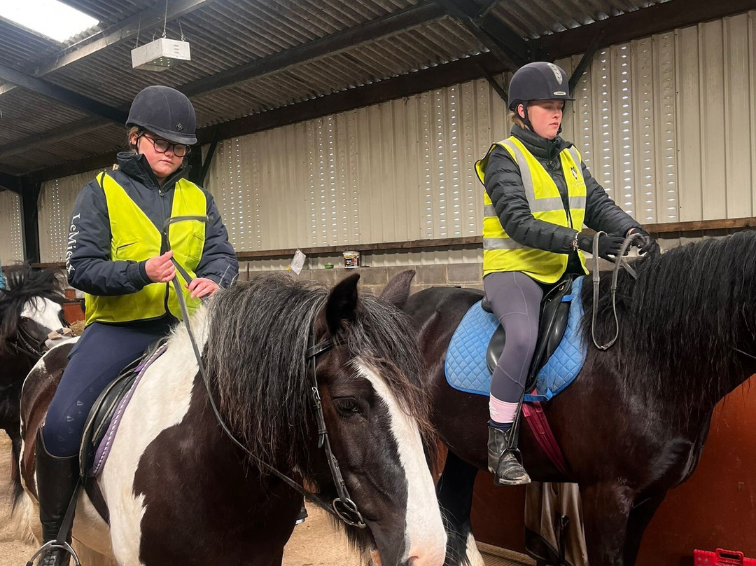 Sinderhope Pony Trekking Centre景点图片