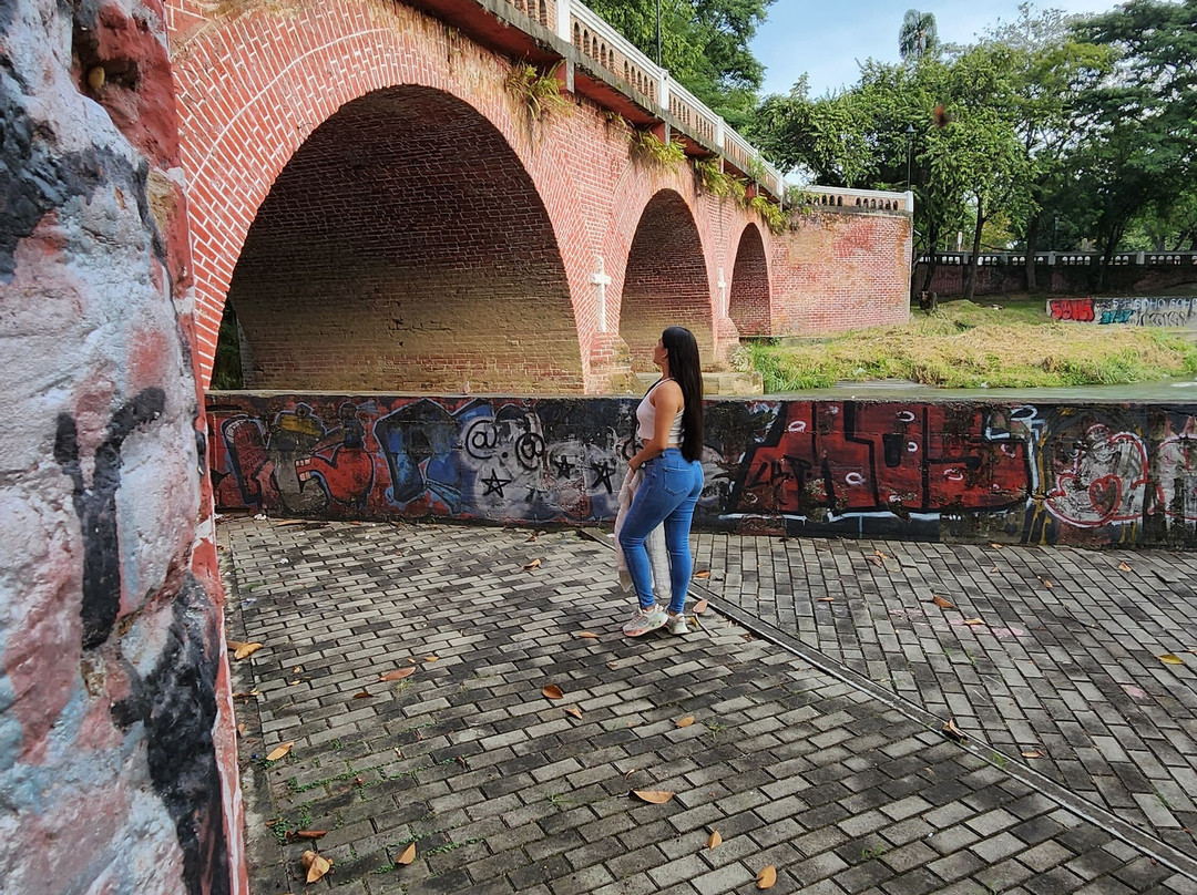 Vox Tours Colombia, que hacer en Buga? patinetas eléctricas, scooters electricas-Buga必去景点