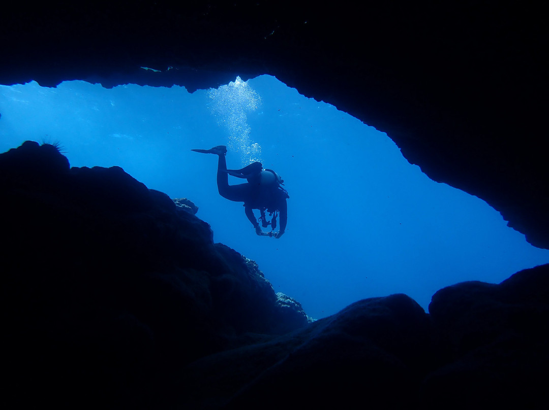 Maui Dreams Dive Co.-基黑必去景点