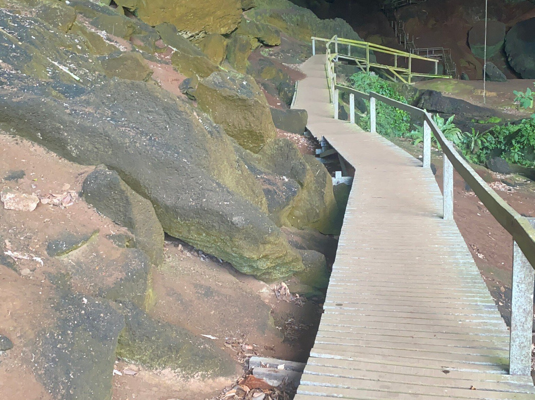 Gua Niah-美里必去景点