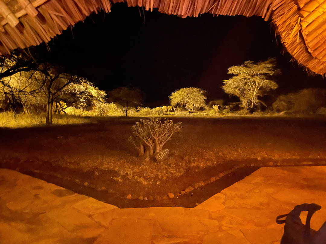 Safari Mapeka-瓦塔木必去景点