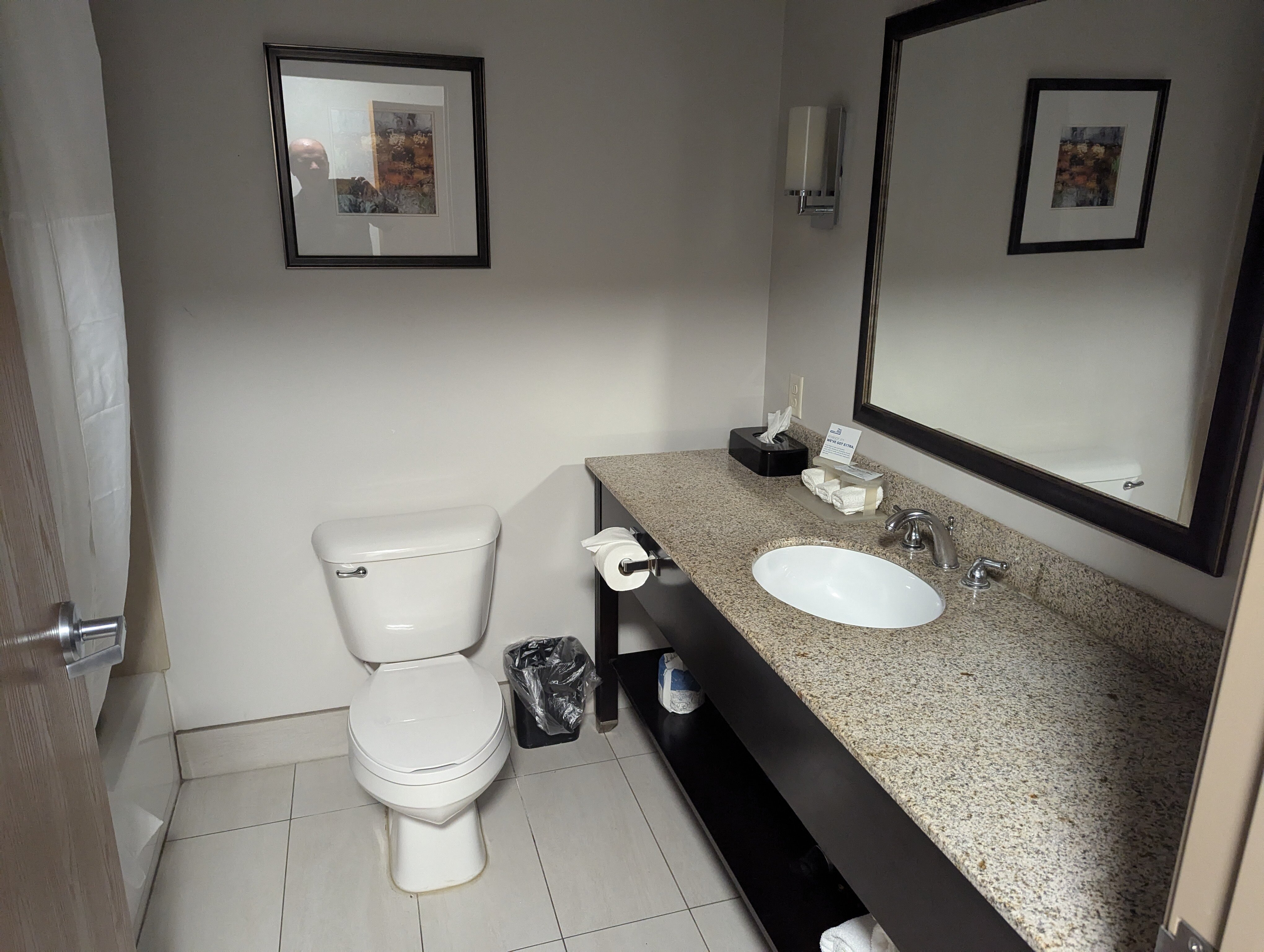 Holiday Inn Express & Suites Albert Lea - I-35 By IHG-浴室