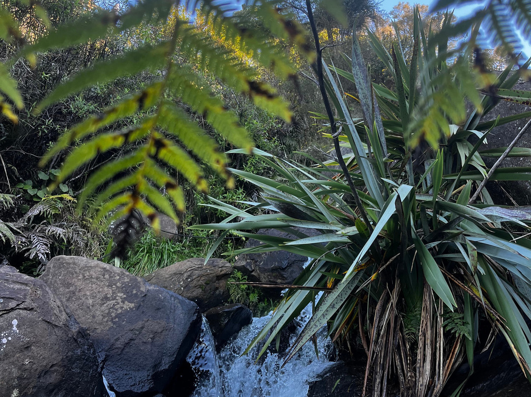 Raglan Rock Adventure Co-拉格伦必去景点