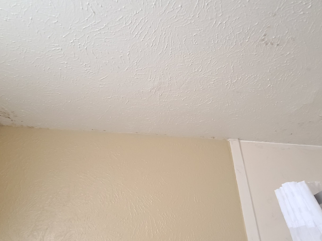 Days Inn by Wyndham Wauseon主图