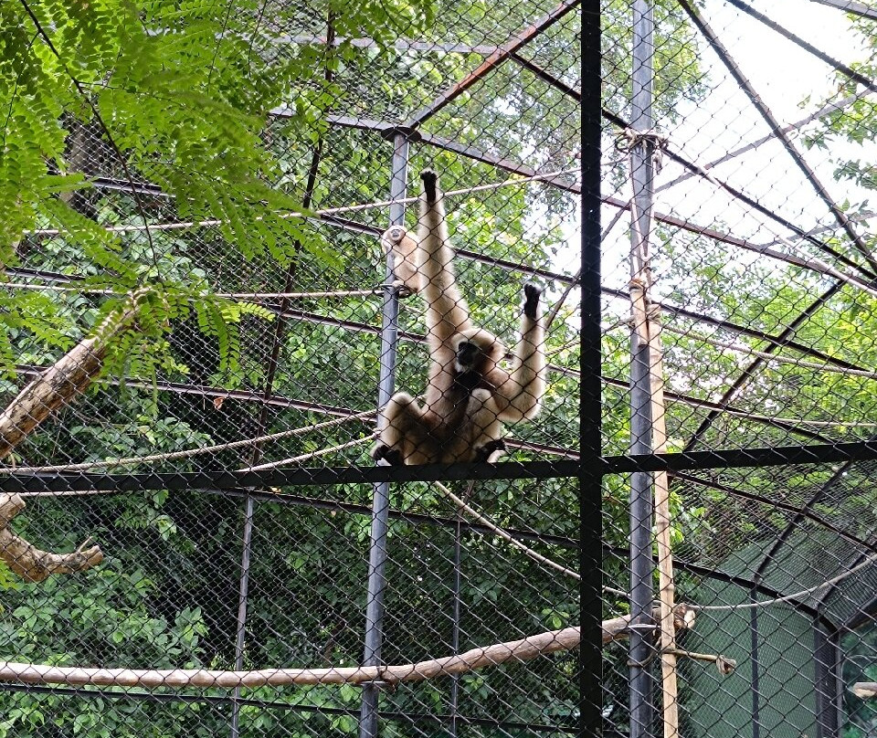 Kolkata Zoo & Zoological Garden景点图片