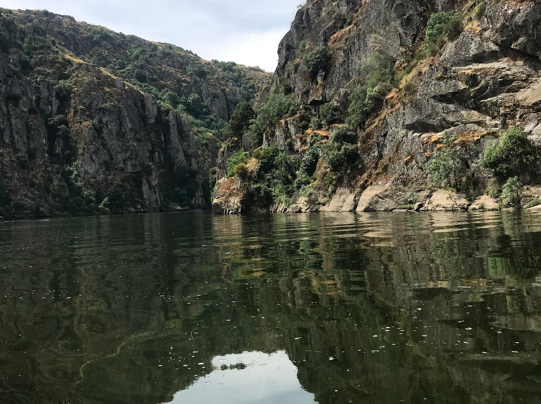 Puial de l Douro主图