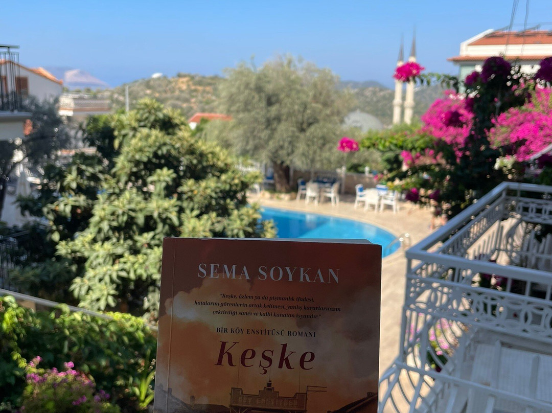 奥利奥酒店主图