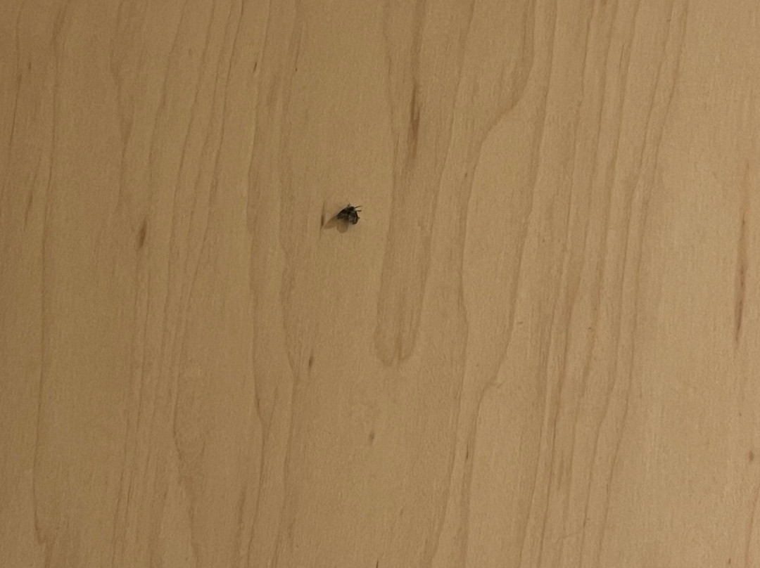 坎布里亚套房酒店主图