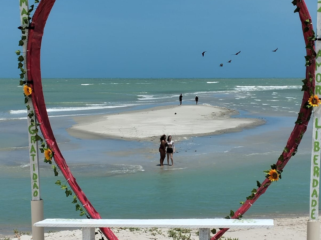 Guamaré Golfinho Tour景点图片