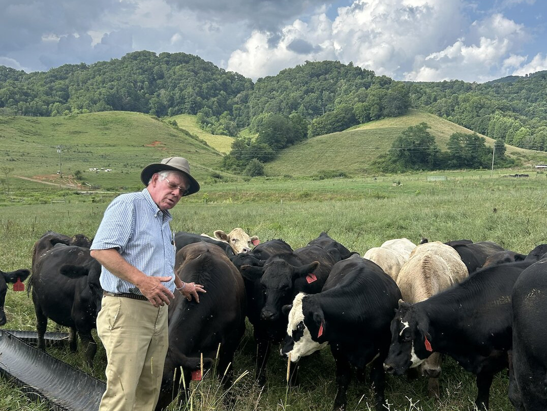 Shipley Farms景点图片