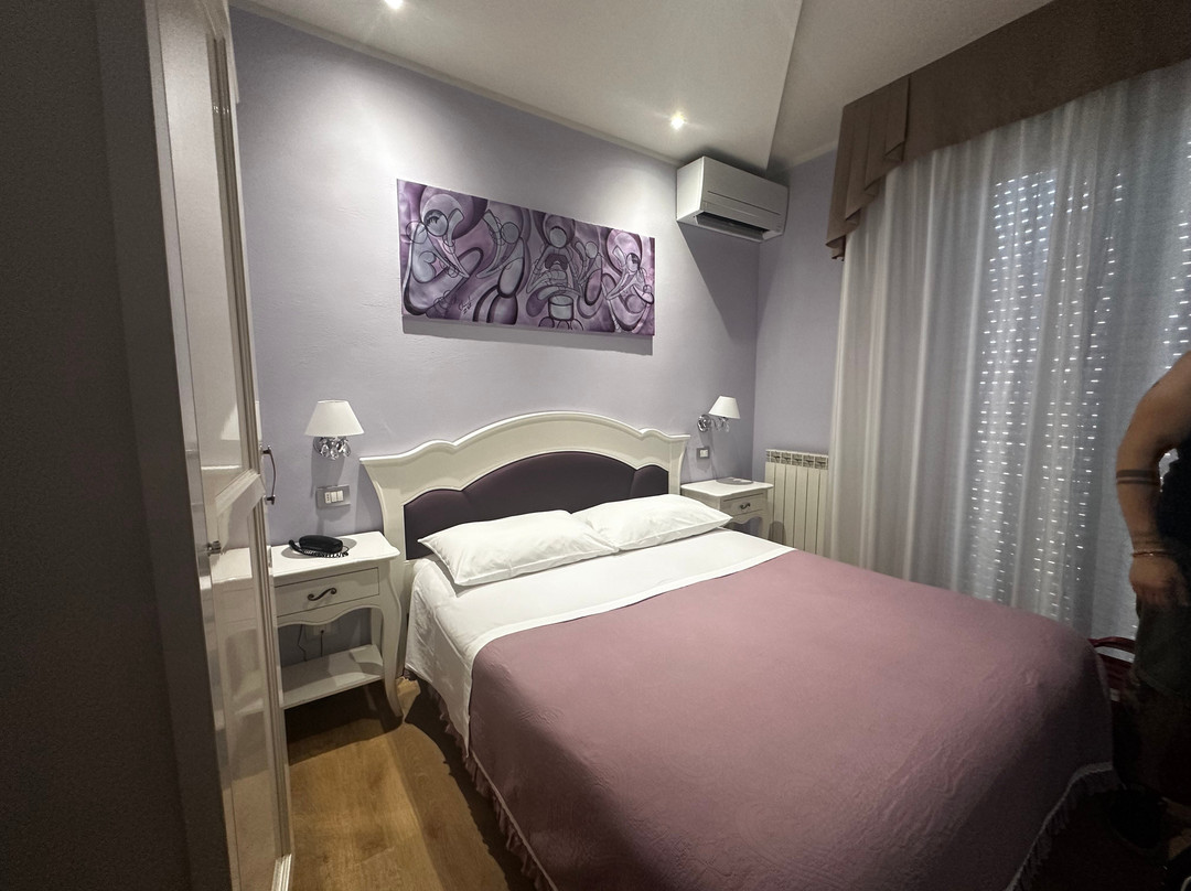 Hotel I Due Cigni主图
