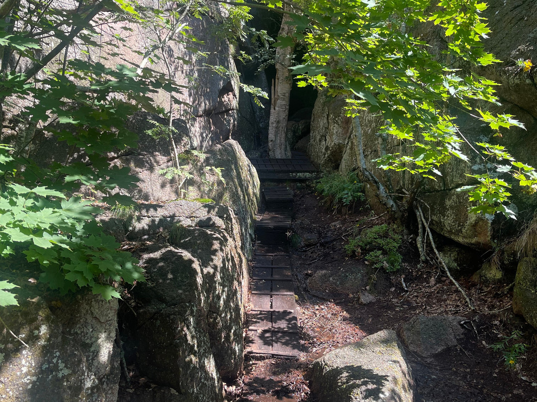 Blå Jungfrun Nationalpark-厄兰岛必去景点