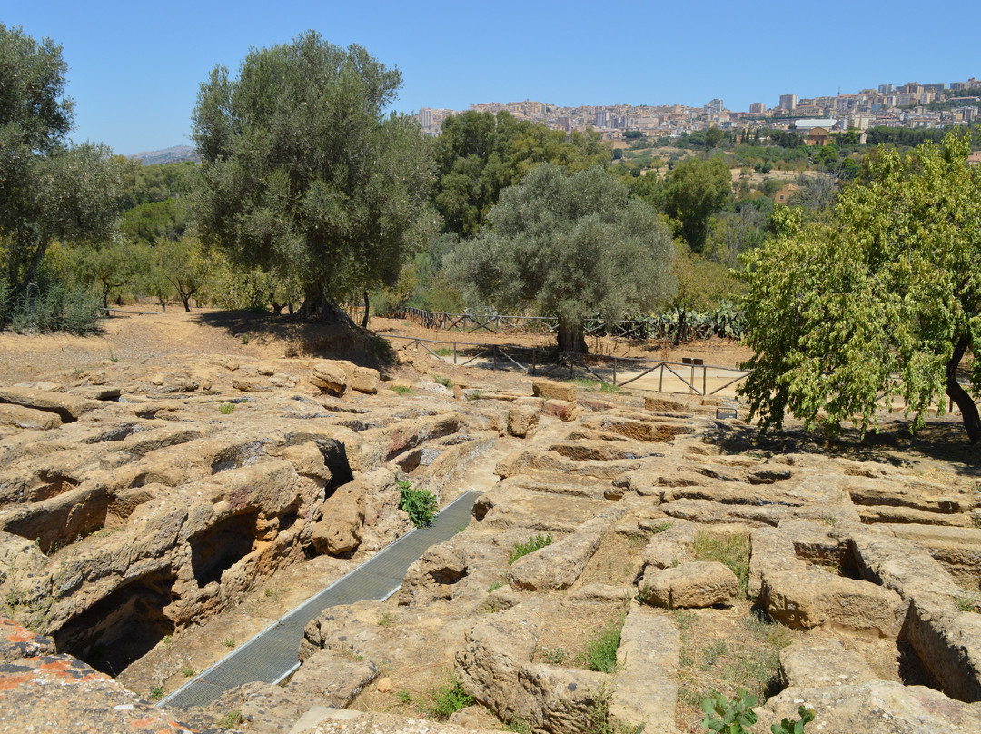 Sicily Travelnet Private Tours景点图片