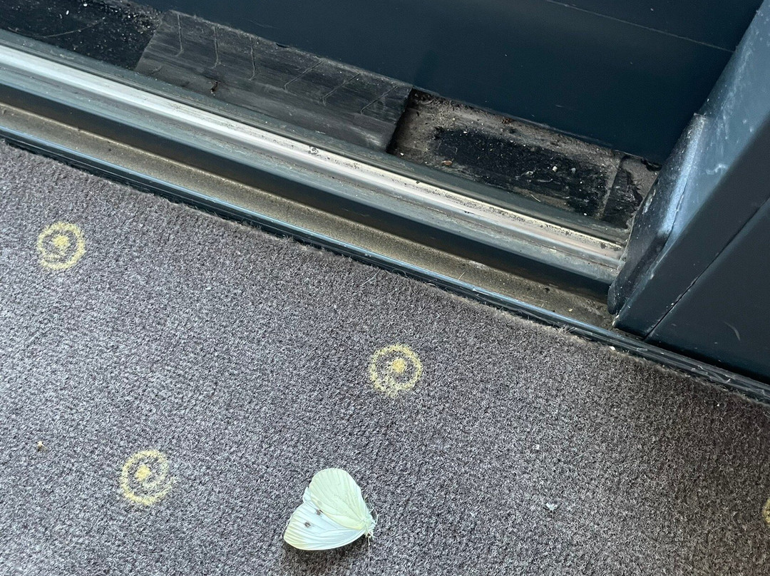 Eden Hotel & Spa主图